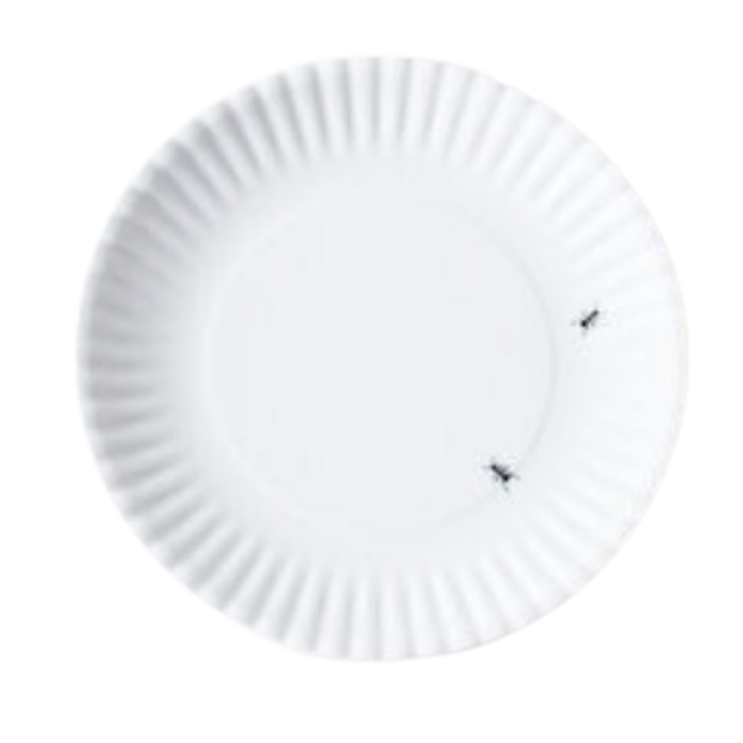 180 DEGREES White Melamine Picnic Style Plate With Ants