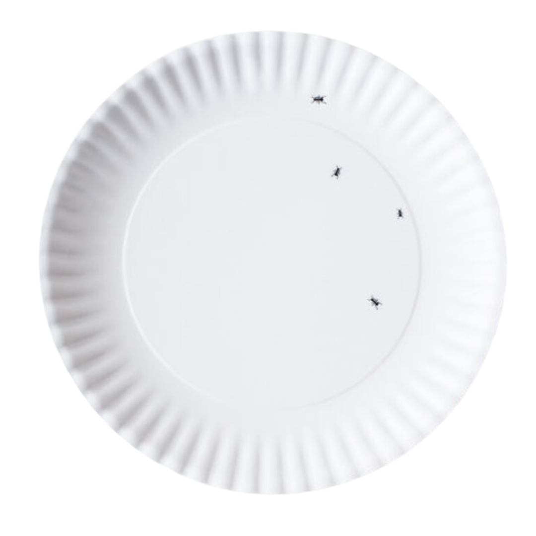 180 DEGREES Melamine White Platter With Decorative Ants