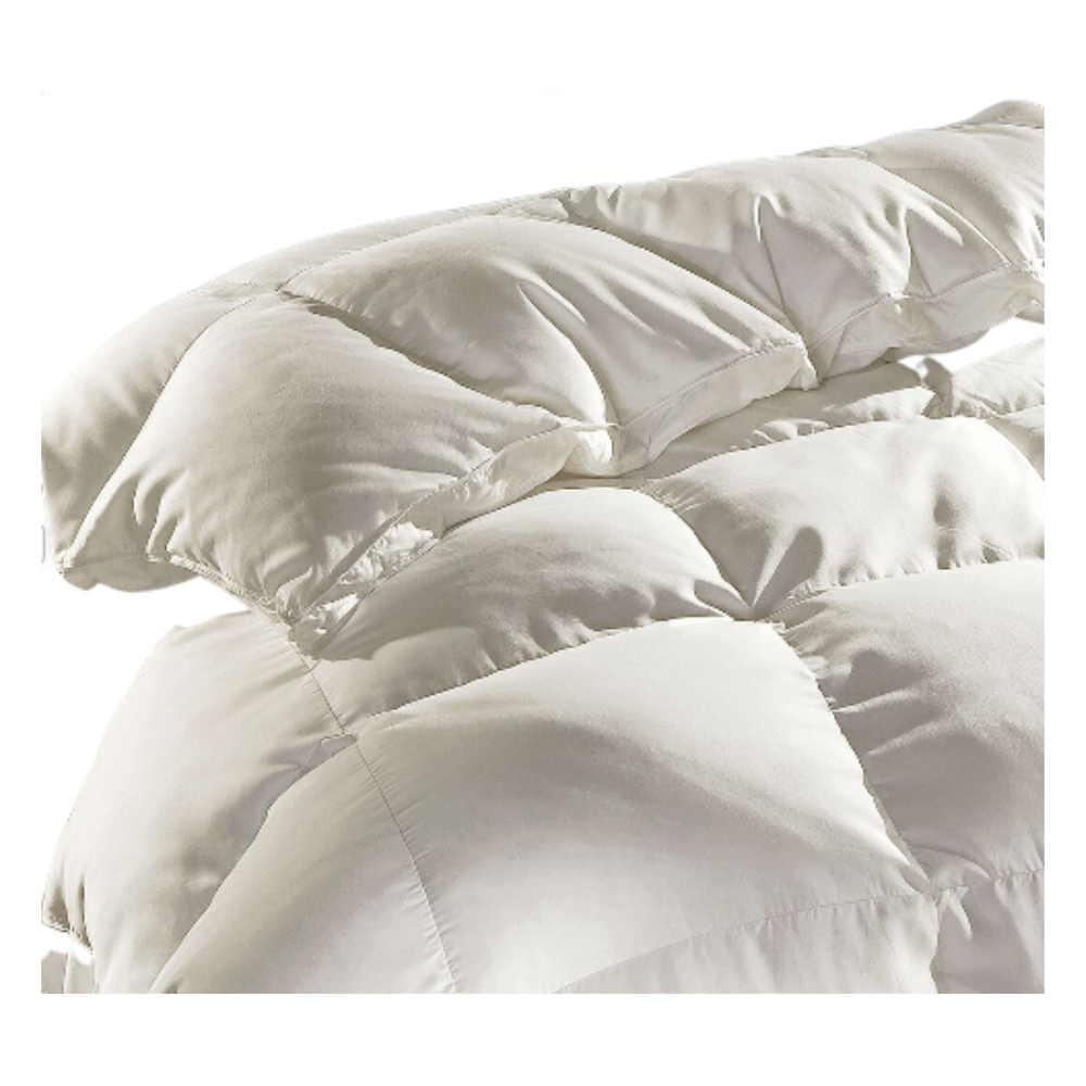 DOWNTOWN COMPANY KING CHAMPAGNE HERMITAGE WINTER WEIGHT COMFORTER