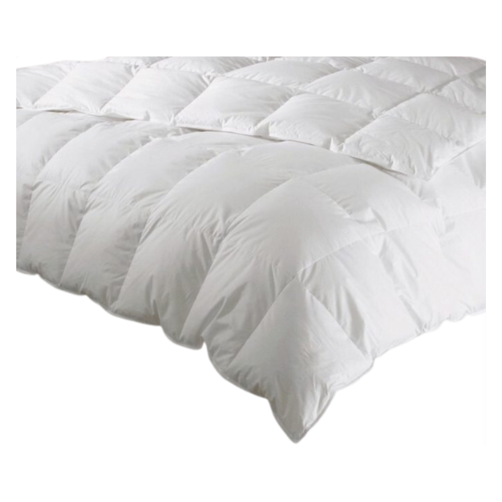 DOWNTOWN COMPANY QUEEN CALLA LILY DOWN YEAR-ROUND COMFORTER