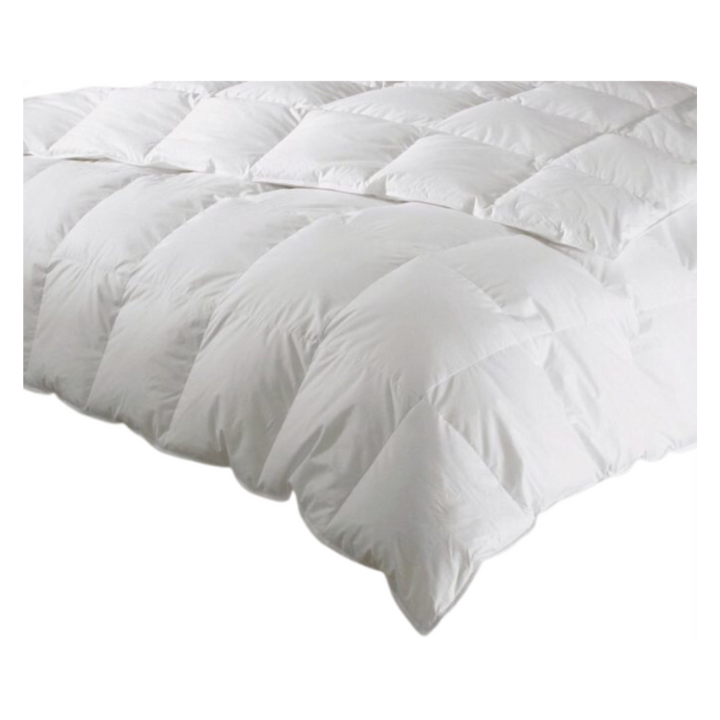 DOWNTOWN COMPANY KING CALLA LILY DOWN YEAR-ROUND COMFORTER