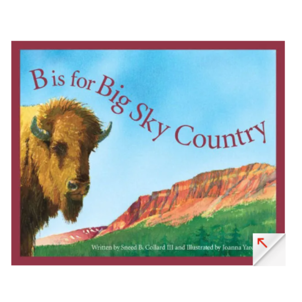 SLEEPING BEAR PRESS A MONTANA ALPHABET: B IS FOR BIG SKY COUNTRY