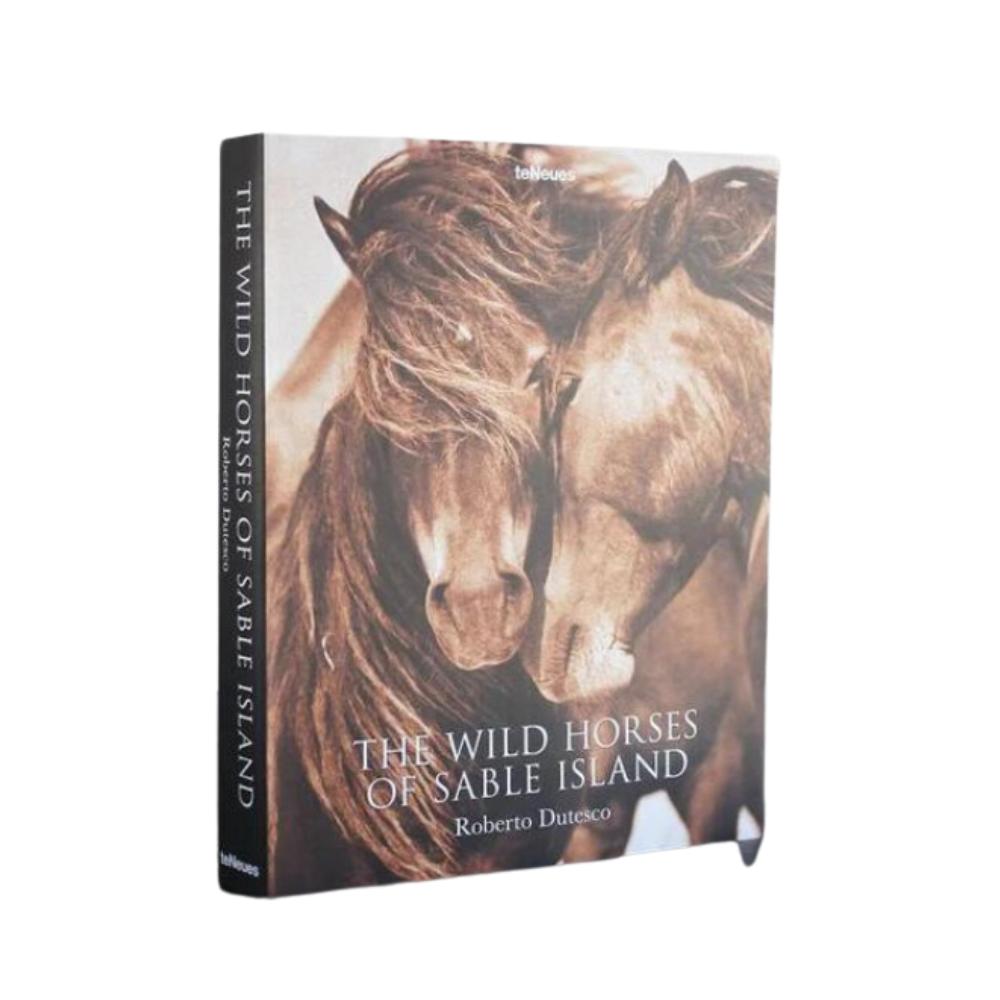 TENEUES TENEUES THE WILD HORSES OF SABLE ISLAND