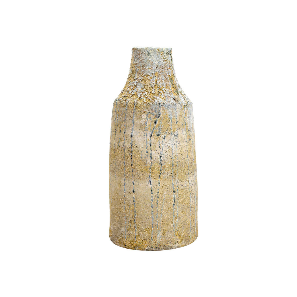 THE IMPORT COLLECTION TALL CLEMSON VASE