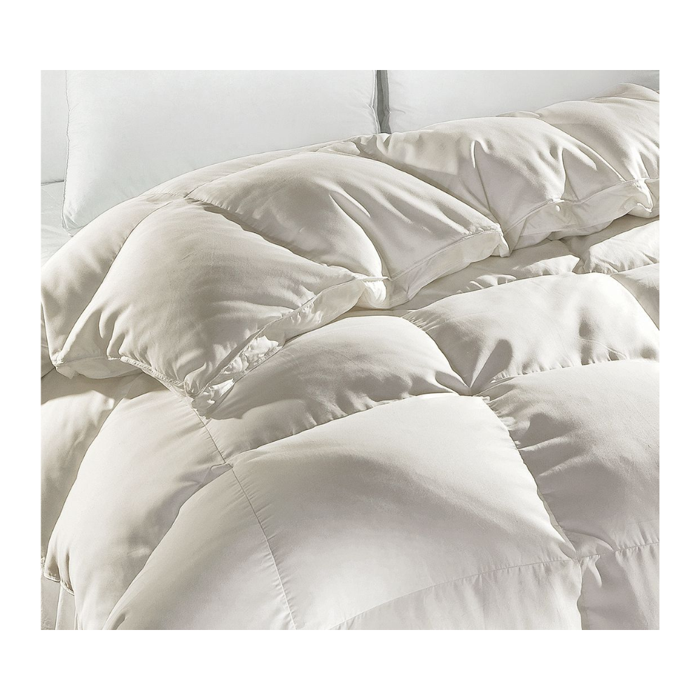 DOWNTOWN COMPANY CHAMPAGNE HERMITAGE WINTER WEIGHT TWIN COMFORTER