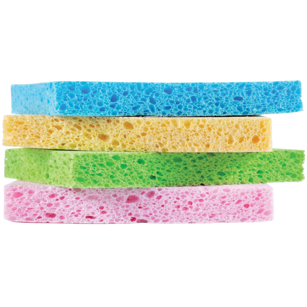 HAROLD IMPORTS SPONGES COLORED
