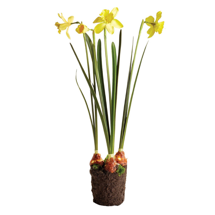 NAPA HOME & GARDEN DAFFODIL DROP IN 24" Default Title